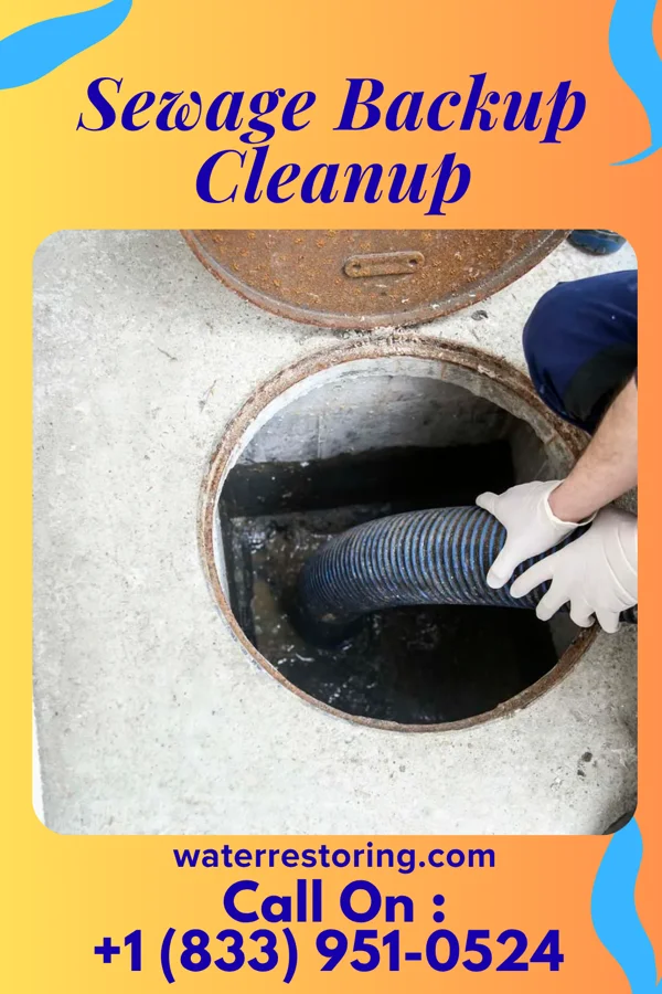 Sewage Backup Cleanup in Taylor, MI