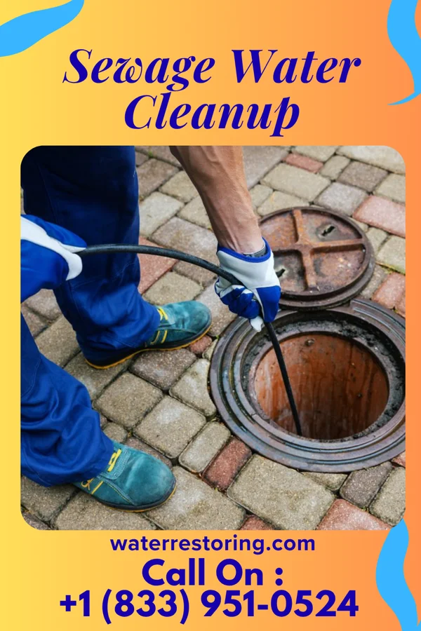 Sewage Water Cleanup in Taylor, MI