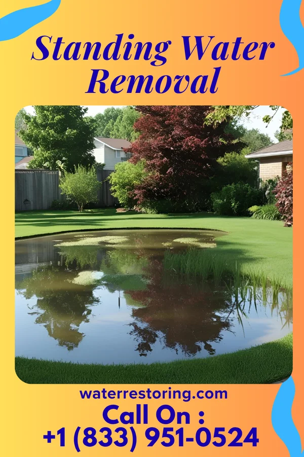 Standing Water Removal in Taylor, MI